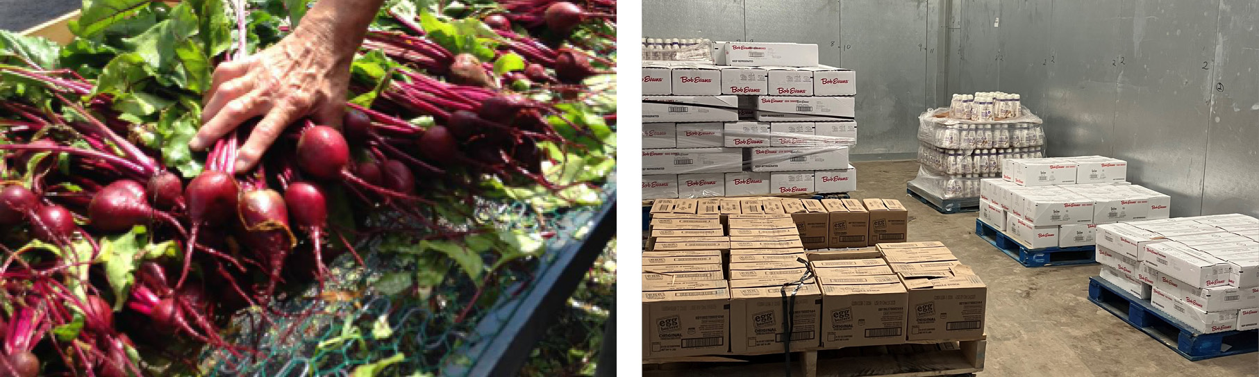 beets, food bank freezer